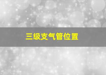 三级支气管位置