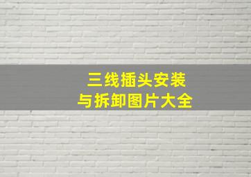 三线插头安装与拆卸图片大全