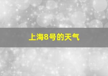 上海8号的天气