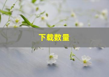 下载数量