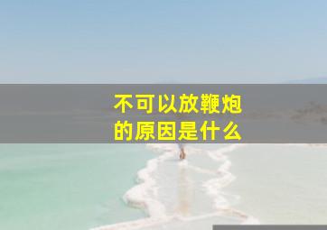 不可以放鞭炮的原因是什么