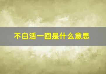 不白活一回是什么意思