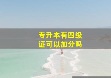 专升本有四级证可以加分吗