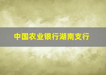 中国农业银行湖南支行