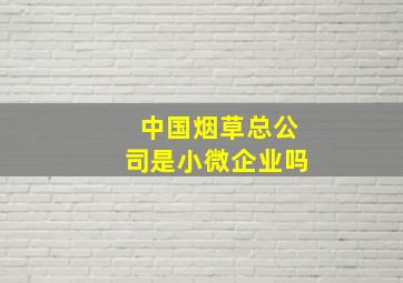 中国烟草总公司是小微企业吗