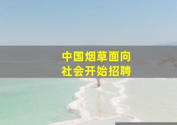 中国烟草面向社会开始招聘