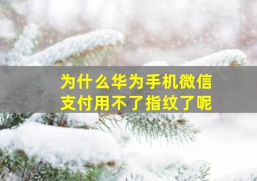 为什么华为手机微信支付用不了指纹了呢