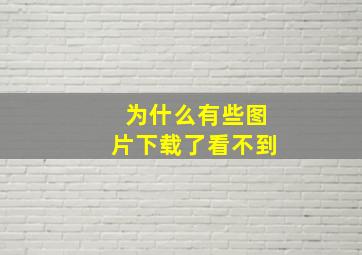 为什么有些图片下载了看不到