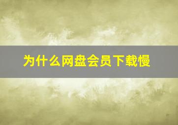 为什么网盘会员下载慢