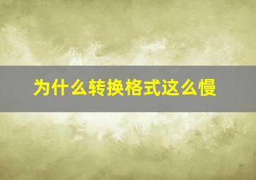 为什么转换格式这么慢