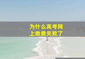 为什么高考网上缴费失败了