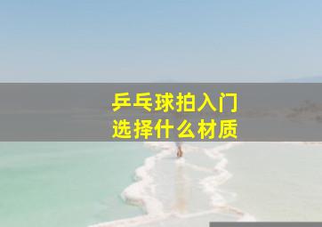 乒乓球拍入门选择什么材质