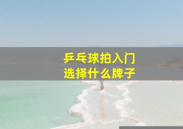 乒乓球拍入门选择什么牌子