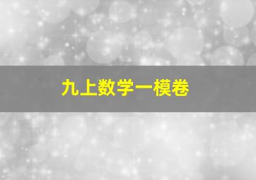 九上数学一模卷