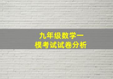 九年级数学一模考试试卷分析