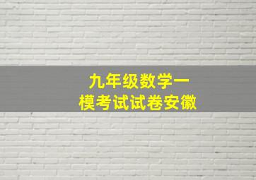 九年级数学一模考试试卷安徽