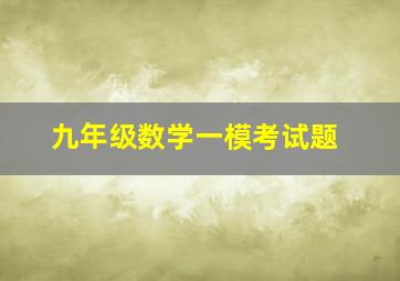 九年级数学一模考试题