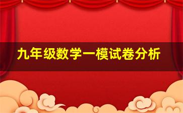 九年级数学一模试卷分析