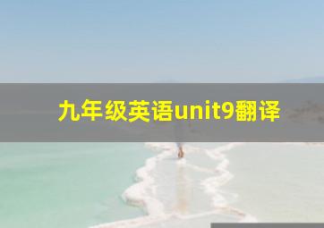 九年级英语unit9翻译