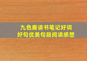 九色鹿读书笔记好词好句优美句段阅读感想