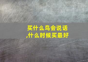 买什么鸟会说话,什么时候买最好