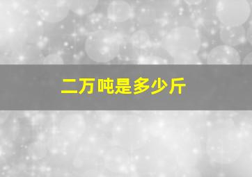 二万吨是多少斤