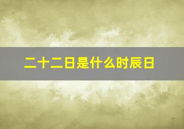 二十二日是什么时辰日