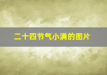 二十四节气小满的图片