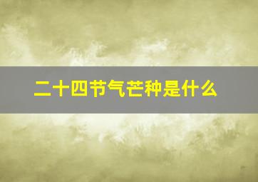 二十四节气芒种是什么