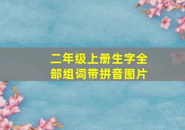 二年级上册生字全部组词带拼音图片