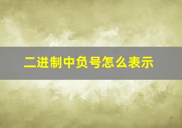 二进制中负号怎么表示