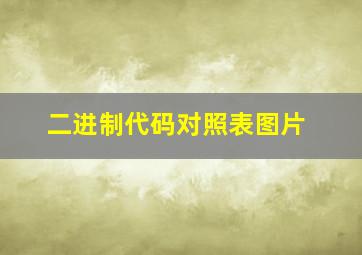 二进制代码对照表图片