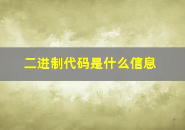 二进制代码是什么信息