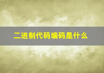 二进制代码编码是什么