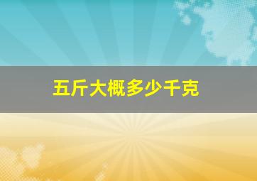 五斤大概多少千克