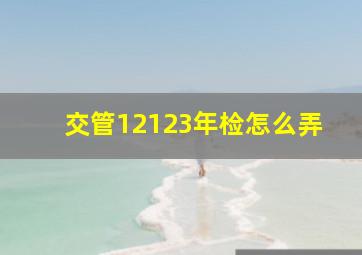 交管12123年检怎么弄