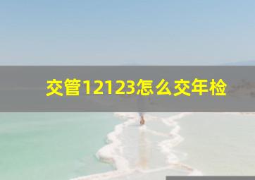 交管12123怎么交年检