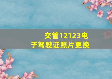 交管12123电子驾驶证照片更换