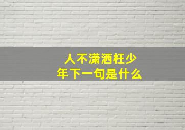 人不潇洒枉少年下一句是什么