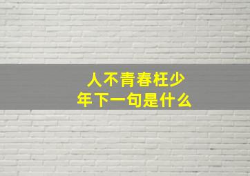 人不青春枉少年下一句是什么