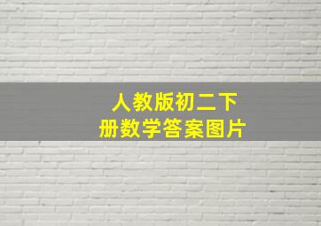 人教版初二下册数学答案图片