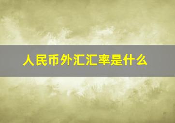 人民币外汇汇率是什么