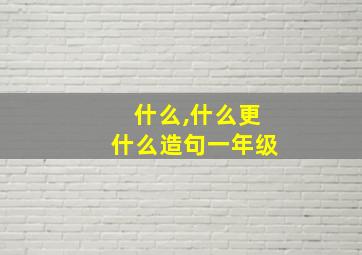 什么,什么更什么造句一年级