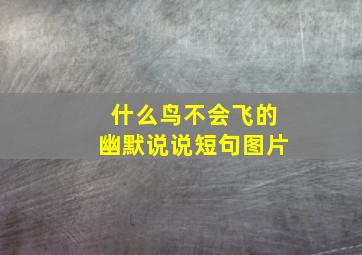 什么鸟不会飞的幽默说说短句图片