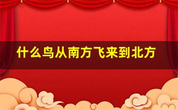 什么鸟从南方飞来到北方