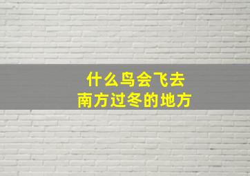 什么鸟会飞去南方过冬的地方