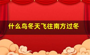 什么鸟冬天飞往南方过冬