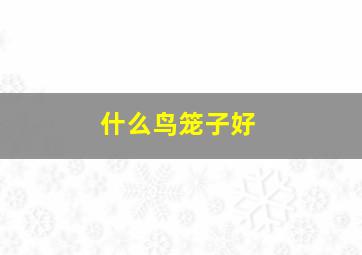 什么鸟笼子好