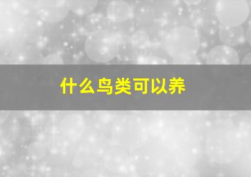 什么鸟类可以养