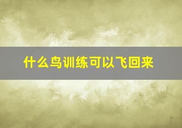 什么鸟训练可以飞回来